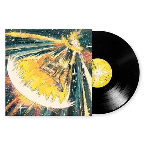 The Comeback Kid [Vinyl LP] von Joyful Noise Recordings