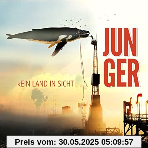 Kein Land in Sicht von Jünger