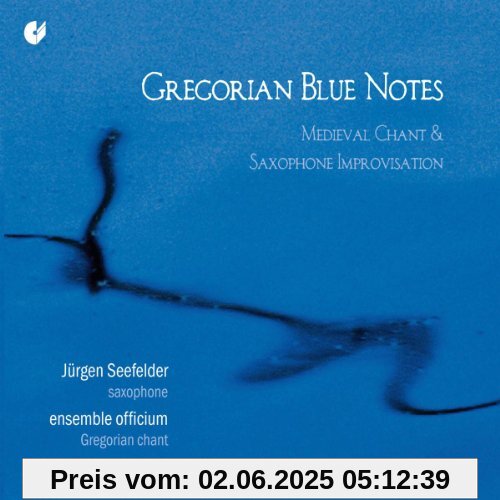 Gregorian Blue Notes - Mittelalterlicher Gesang und Saxophon-Improvisation Gregorian Blue Notes - Mittelalterlicher Gesang und Saxophon-Improvisation von Jürgen Seefelder