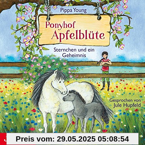 Ponyhof Apfelblte.Sternchen und Ein Geheimnis von Jule Hupfeld