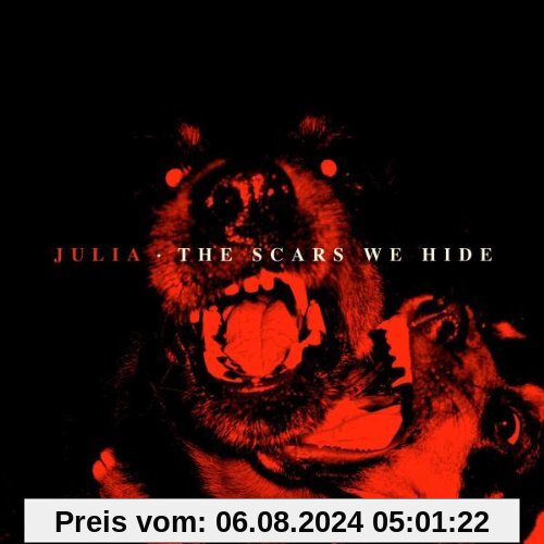 The Scars We Hide von Julia