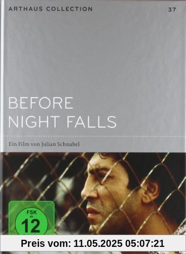 Before Night Falls Before Night Falls von Julian Schnabel