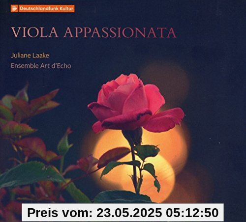 Viola Appassionata Viola Appassionata von Juliane Laake