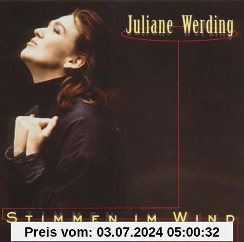 Stimmen im Wind von Juliane Werding