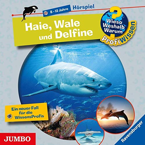 Haie,Wale und Delfine (Folge 24) von Jumbo Neue Medien + Verla