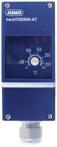 Jumo 60003390 Temperaturwächter von Jumo