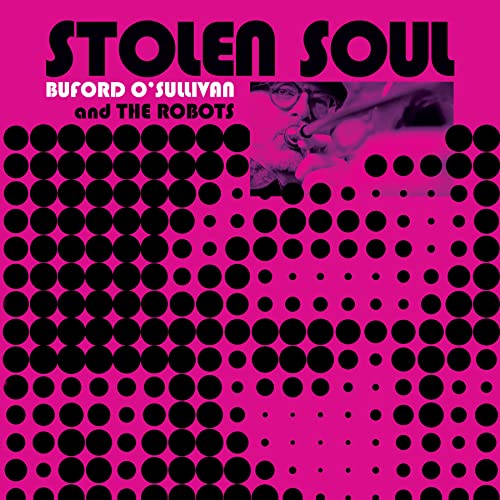 Stolen Soul [Vinyl LP] von Jump Up Records