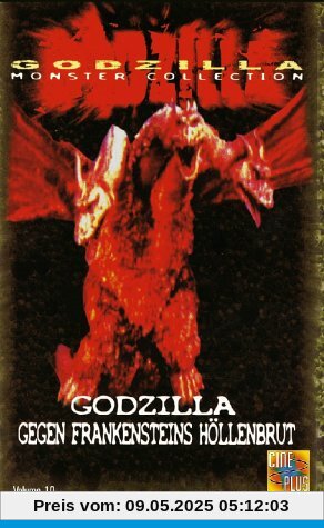Godzilla gegen Frankensteins Höllenbrut Godzilla gegen Frankensteins Höllenbrut von Jun Fukuda