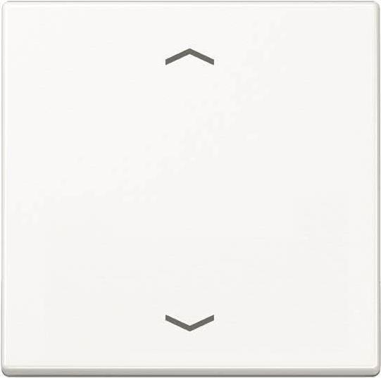 A 1700 P WW Steuertaste Standard Symbole Pfeile (A1700PWW) von Jung