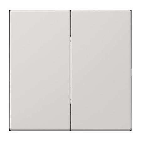 BLE LS 995 LG  - Funk-Wandsender Bluetooth Low Energy BLE LS 995 LG von Jung
