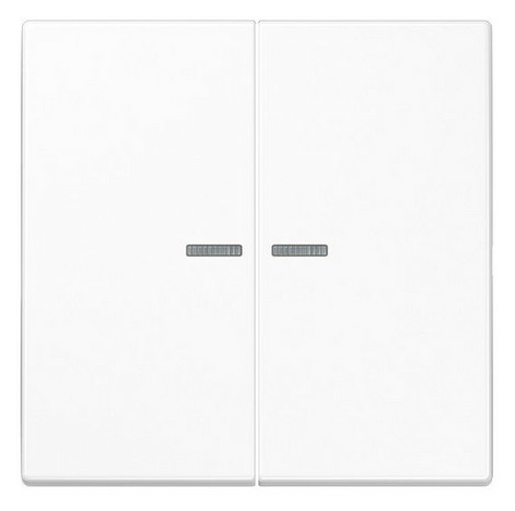 BTLS17102WW JUNG HOME Taster 2fach von Jung