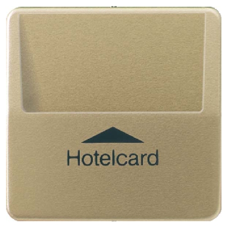 CD 590 CARD GB-L  - Hotelcard-Schalter go brz ohne Taster-Einsatz CD 590 CARD GB-L von Jung