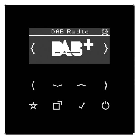 DAB LS SW  - Smart DAB+ Digitalradio UKW,DAB+ DAB LS SW von Jung