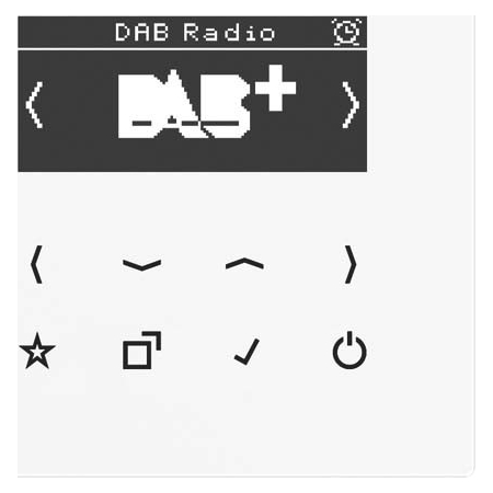 DAB LS WW  - Smart DAB+ Digitalradio UKW,DAB+ DAB LS WW von Jung