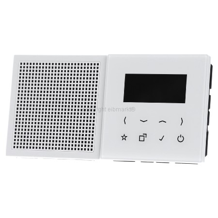 DAB LS1 BT WW  - Smart DAB+ Digitalradio Bluetooth SetMono1LS DAB LS1 BT WW von Jung