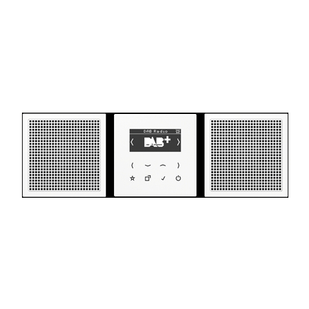 DABLS2SW  - Smart Radio DAB+ Set Stereo DABLS2SW von Jung