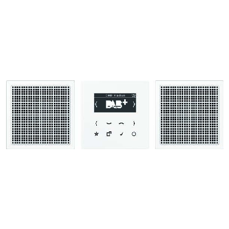 DABLS2WW  - Smart Radio DAB+ Set Stereo DABLS2WW von Jung