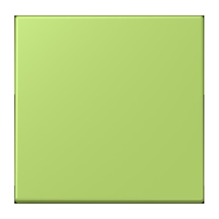 ENO LC 990221  - EnOcean Funk-Wandsender vert clair (32052) ENO LC 990221 von Jung