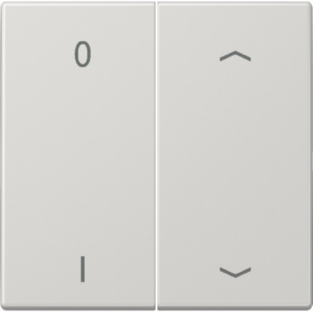 ENO LS 995 P01 LG  - Funk-Wandsender lichtgrau 4-kanalig Symbole, ENO LS 995 P01 LG von Jung