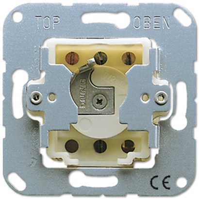JUNG 134.28 Elektroschalter Key-operated switch 2P Metallisch (134.28) von Jung