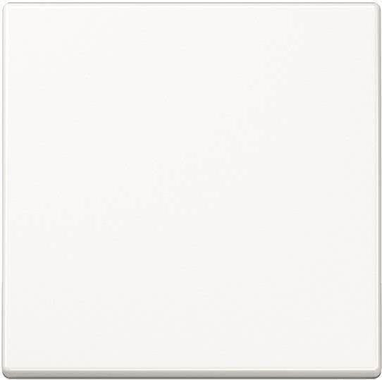 JUNG A1700WW A1700WW Steuertaste Standard (A1700WW) von Jung