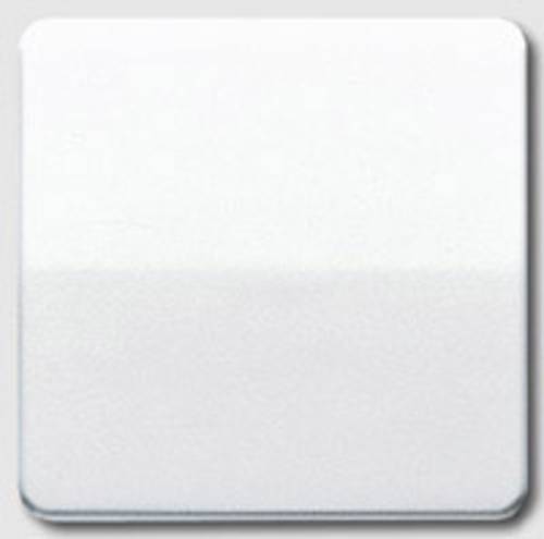 Jung 1fach Abdeckung Wechselschalter, Taster Creme-Weiß CD590 Jung 1fach Abdeckung Wechselschalter, Taster Creme-Weiß CD590 von Jung