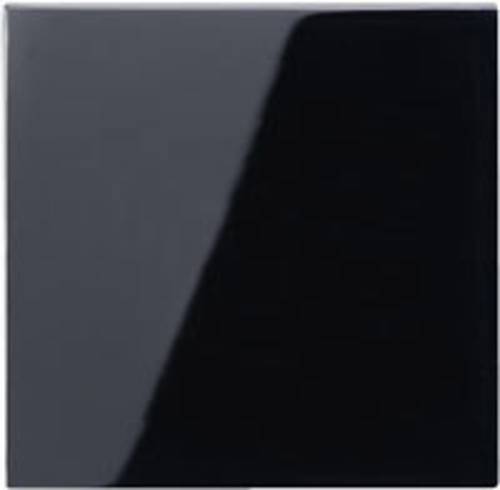 Jung 1fach Einsatz Taster Schwarz A590SW Jung 1fach Einsatz Taster Schwarz A590SW von Jung