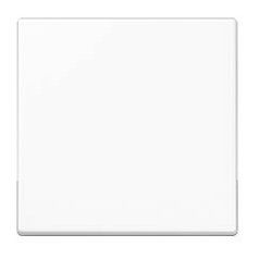 Jung A1700WW Steuertaste Standard Jung A1700WW Steuertaste Standard von Jung