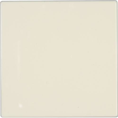 Jung Abdeckung Blindabdeckung LS 990, LS design, LS plus Creme-Weiß LS 994 B Jung Abdeckung Blindabdeckung LS 990, LS design, LS plus Creme-Weiß LS 994 B von Jung