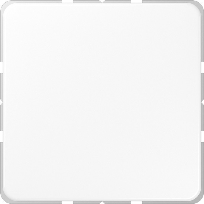 Jung Blind-Abdeckung aws CD 594-0 WW CD594-0WW Jung Blind-Abdeckung aws CD 594-0 WW CD594-0WW von Jung