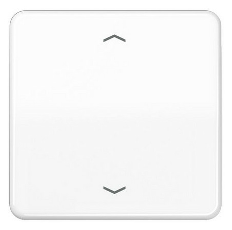 Jung CD 590 P WW WIPPE FUER TASTER BA von Jung