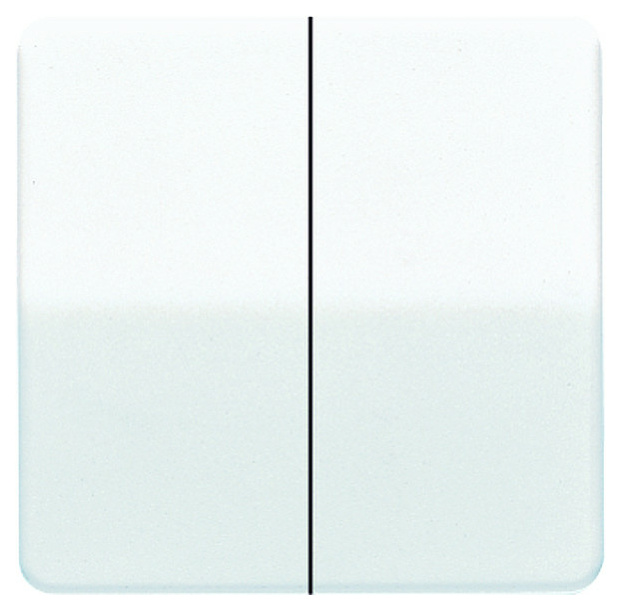 Jung CD 595 WIPPE SERIEN WEISS Jung CD 595 WIPPE SERIEN WEISS von Jung
