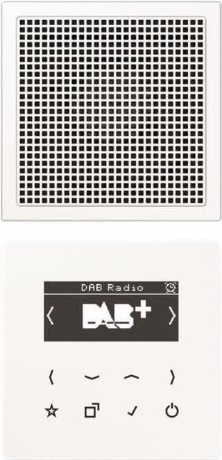 Jung DABLS1WW Smart Radio DAB+Set Mono (DABLS1WW) von Jung