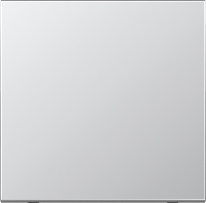 Jung Funk-Wandsender alu lack ENO AL 2990-L ENOAL2990-L von Jung