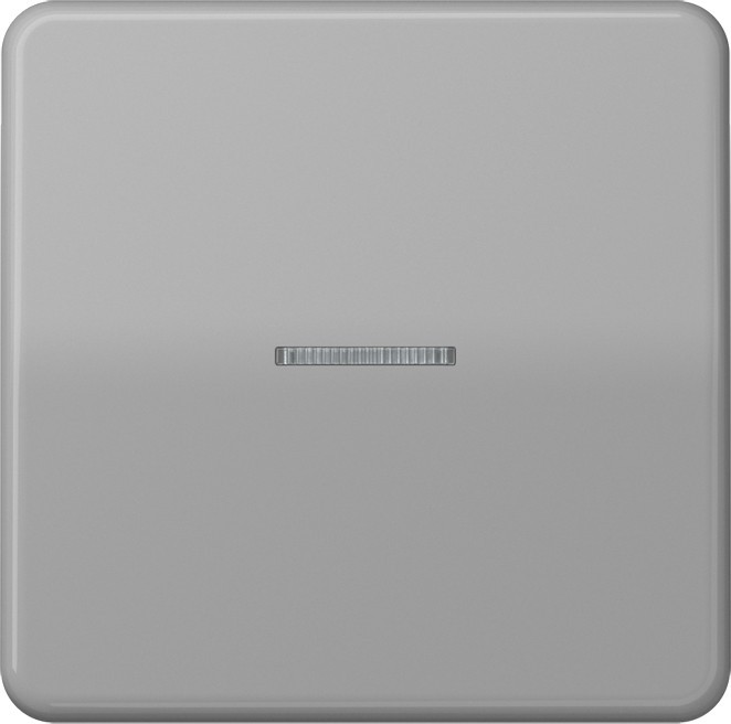 Jung KNX RF Taster 1fach CD 10911 ST RF GR CD10911STRFGR von Jung
