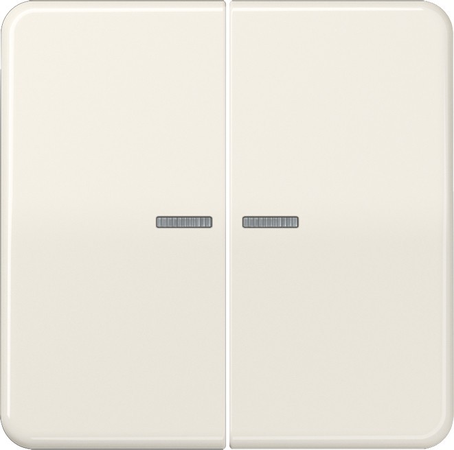 Jung KNX RF Taster 2fach CD 10921 ST RF CD10921STRF Jung KNX RF Taster 2fach CD 10921 ST RF CD10921STRF von Jung