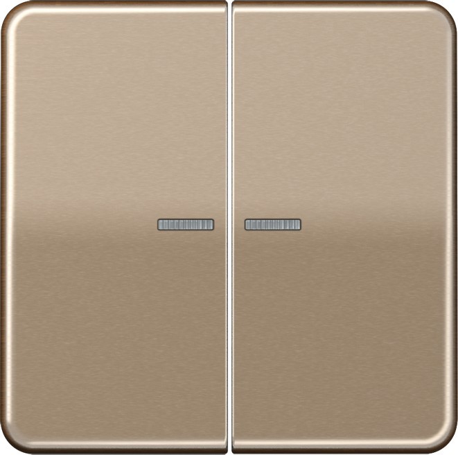 Jung KNX RF Taster 2fach CD 10921 ST RF GB CD10921STRFGB von Jung