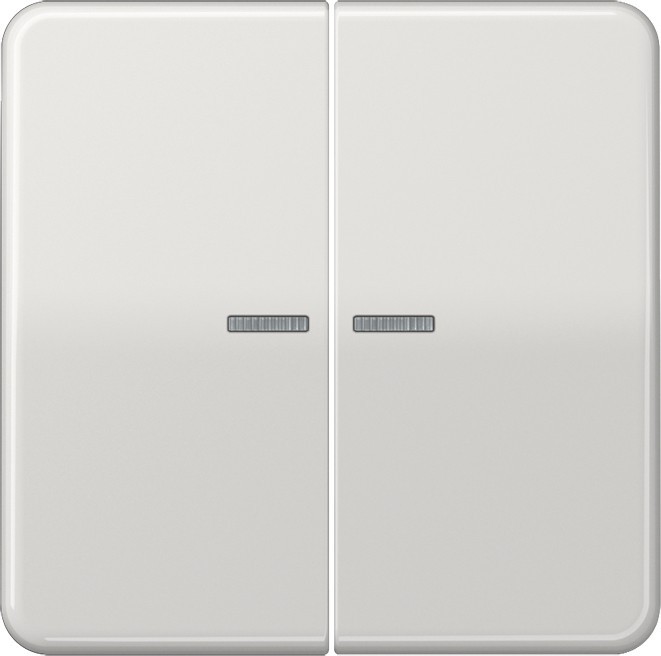 Jung KNX RF Taster 2fach CD 10921 ST RF LG CD10921STRFLG Jung KNX RF Taster 2fach CD 10921 ST RF LG CD10921STRFLG von Jung