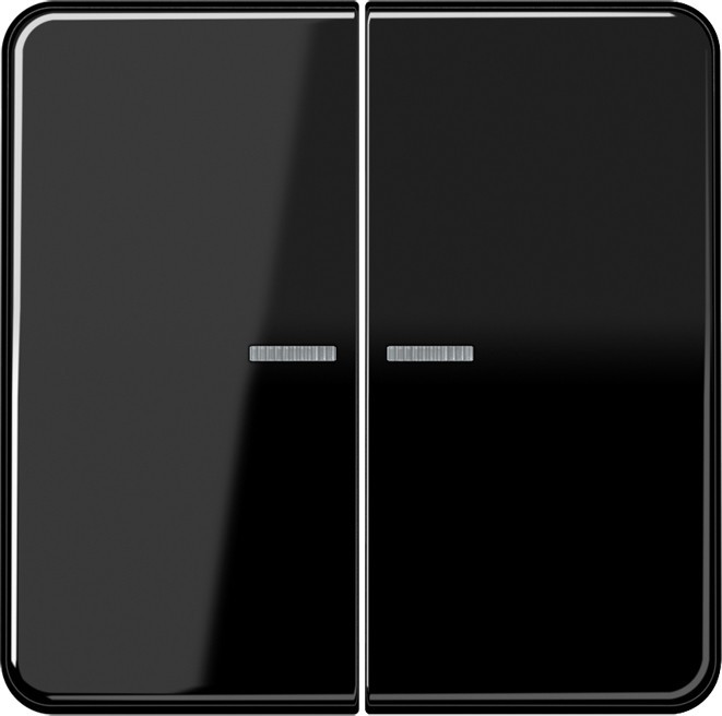 Jung KNX RF Taster 2fach CD 10921 ST RF SW CD10921STRFSW von Jung