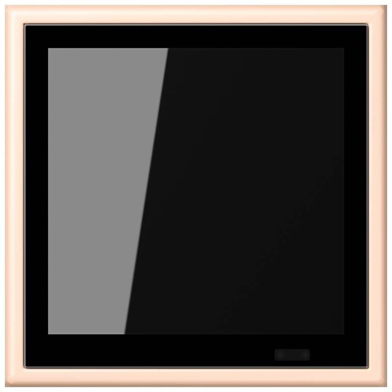 Jung KNX Raumcontroller LC 459 D1 S 228 LC459D1S228 von Jung