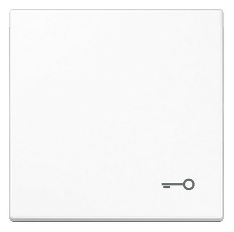 Jung LS 990 T WW WIPPE SYMBOL TUER Jung LS 990 T WW WIPPE SYMBOL TUER von Jung