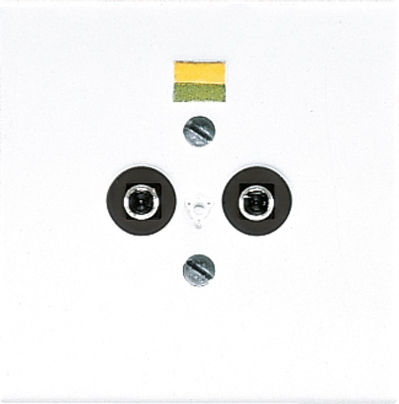 Jung Potential-Ausgl.Steckdose LS 965-2 WW LS965-2WW Jung Potential-Ausgl.Steckdose LS 965-2 WW LS965-2WW von Jung
