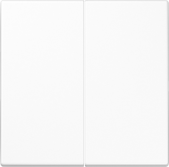 Jung Steuertaste 2-fach LS 1702 WW LS1702WW Jung Steuertaste 2-fach LS 1702 WW LS1702WW von Jung