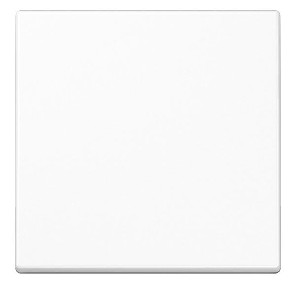 Jung Steuertaste Standard A 1700 WW A1700WW Jung Steuertaste Standard A 1700 WW A1700WW von Jung