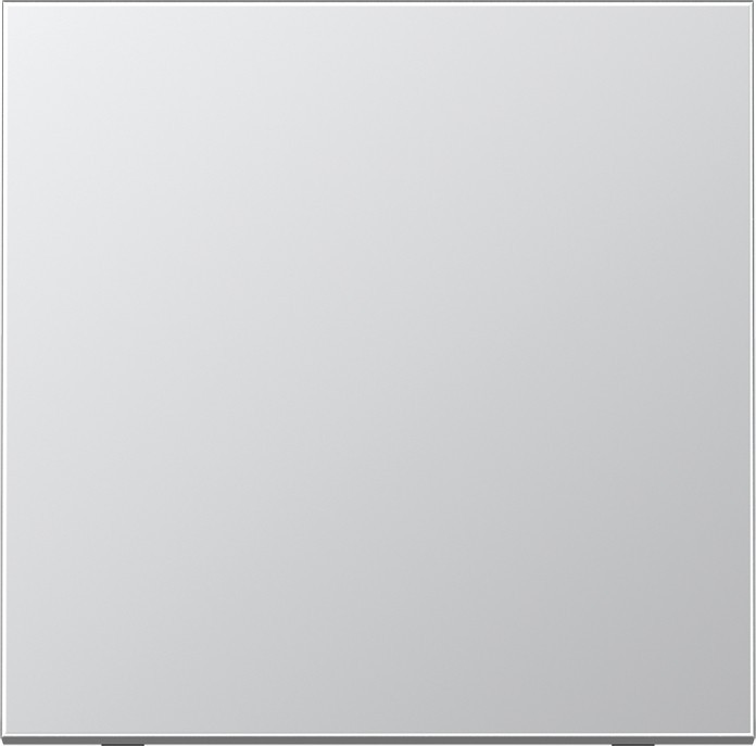 Jung Steuertaste Standard AL 1700 AL1700 von Jung
