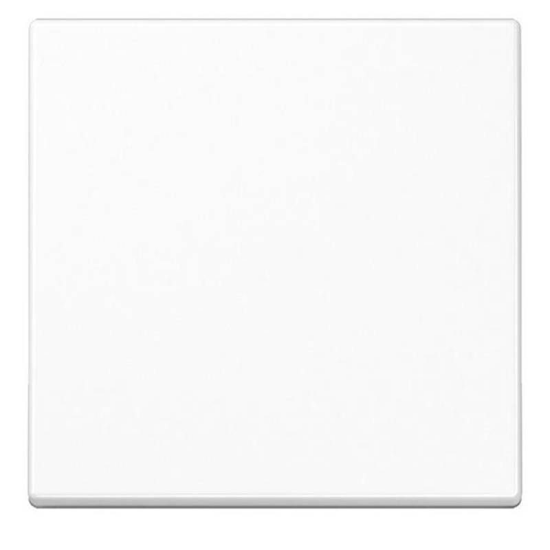 Jung Wippe 1-fach A 590 BF WW A590BFWW von Jung