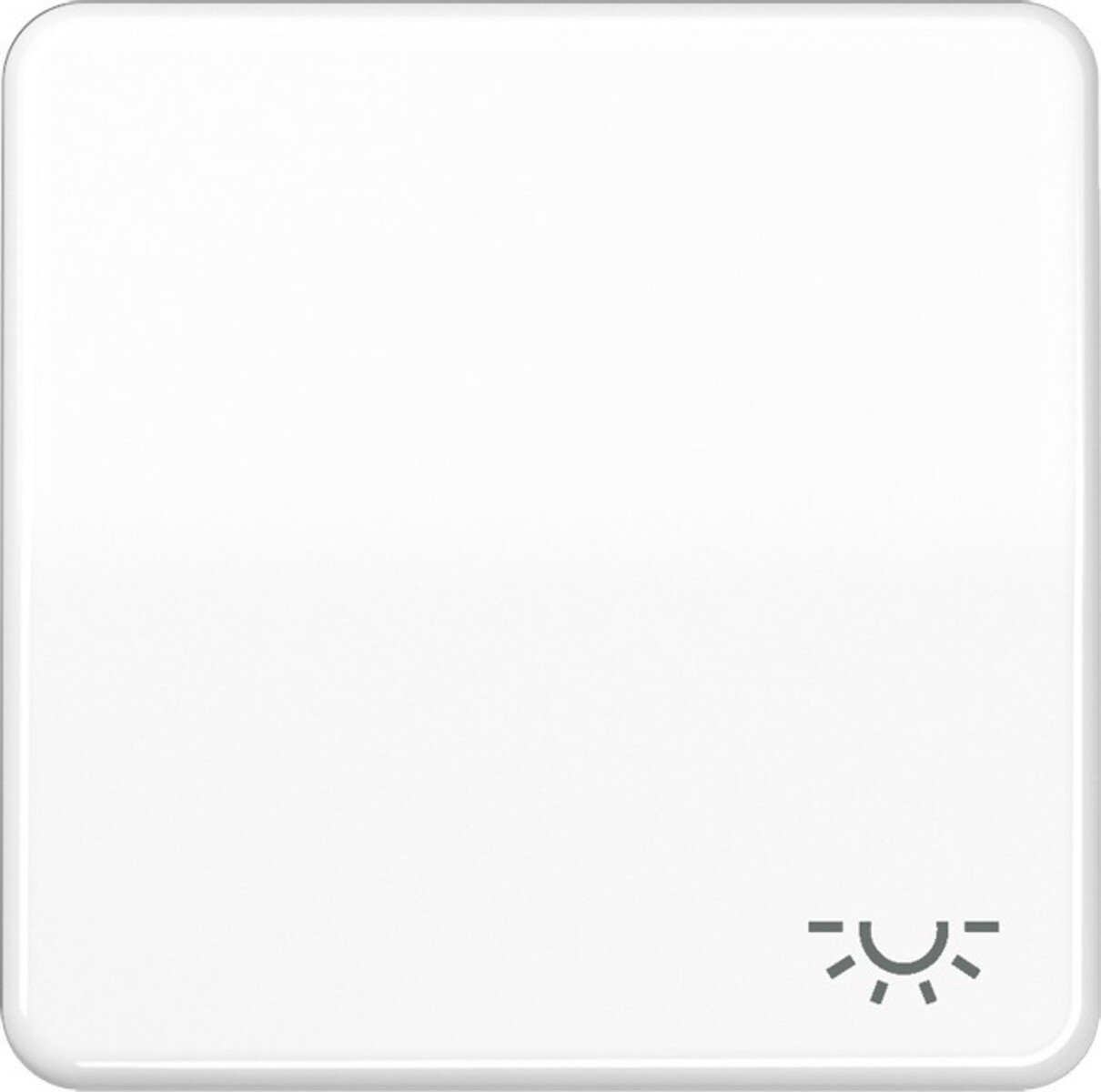 Jung Wippe Symbol LICHT aws CD 590 L WW CD590LWW Jung Wippe Symbol LICHT aws CD 590 L WW CD590LWW von Jung
