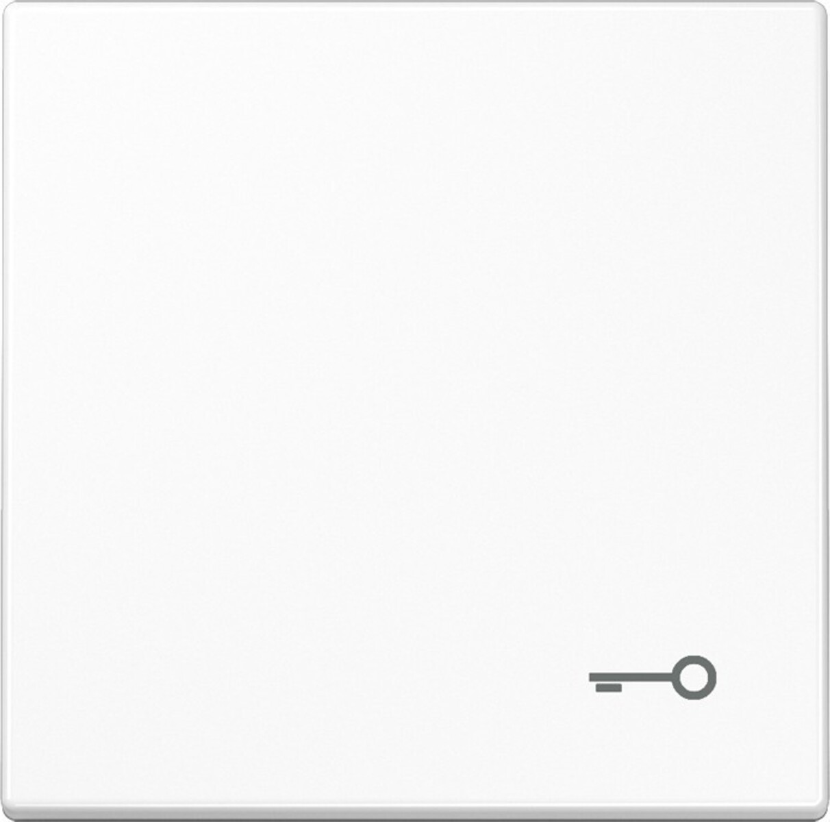 Jung Wippe Symbol TÜR aws LS 990 T WW LS990TWW Jung Wippe Symbol TÜR aws LS 990 T WW LS990TWW von Jung