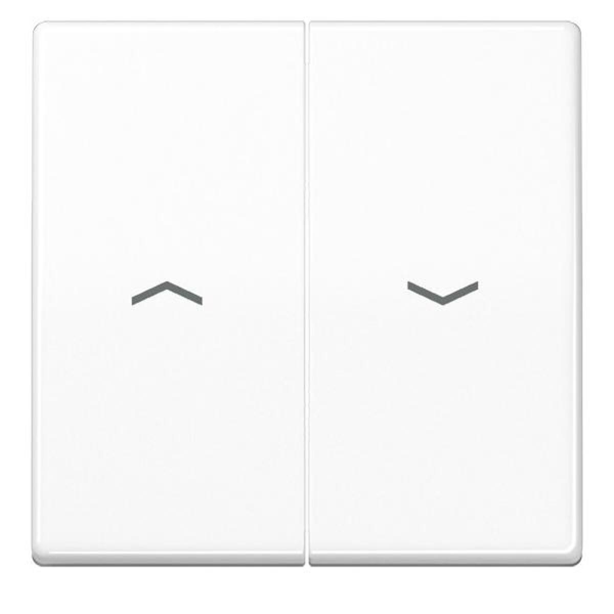 Jung Wippe Symbole aws AS 591-5 P WW AS591-5PWW Jung Wippe Symbole aws AS 591-5 P WW AS591-5PWW von Jung