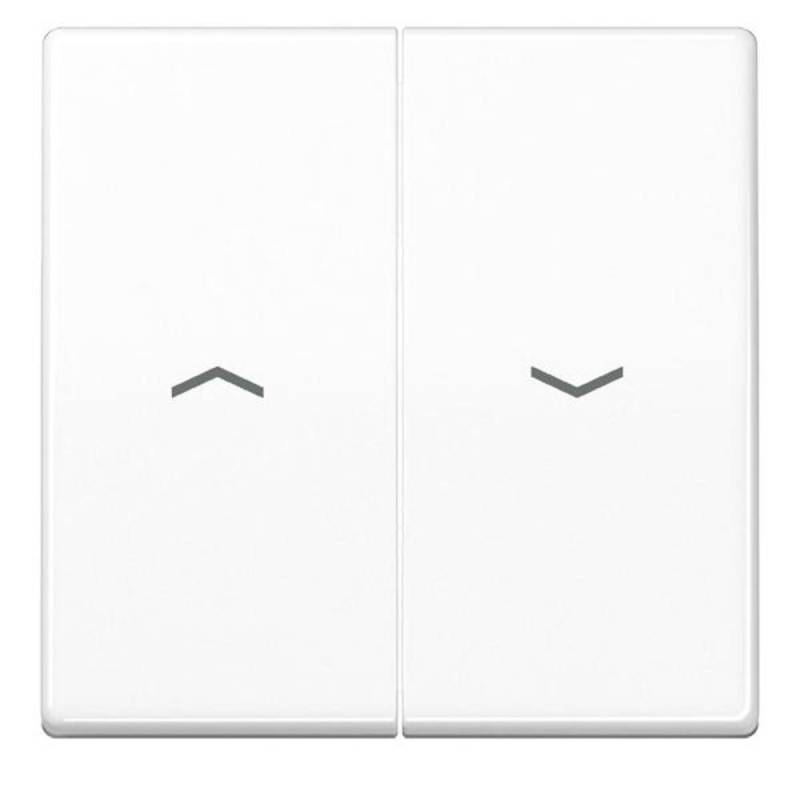 Jung Wippe Symbole aws AS 591-5 P WW AS591-5PWW von Jung